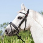 KIEFFER ULTRASOFT BRIDLE